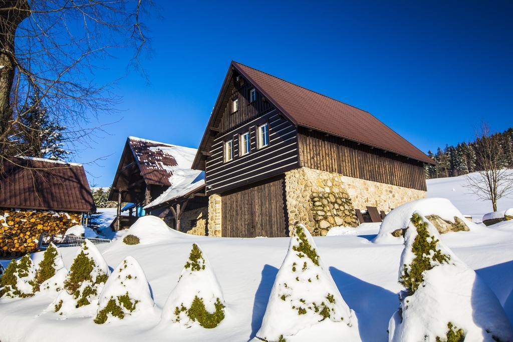 Chata Pod Lipami Hotel Rokytnice nad Jizerou Bagian luar foto